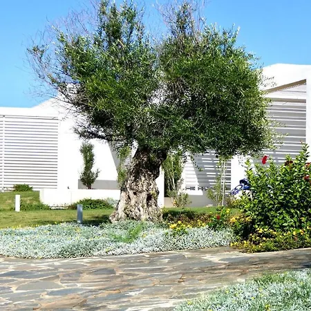 Resort Con Piscina A Soli 250 Mt Dalla Spiaggia La Pelosa Stintino Exterior photo