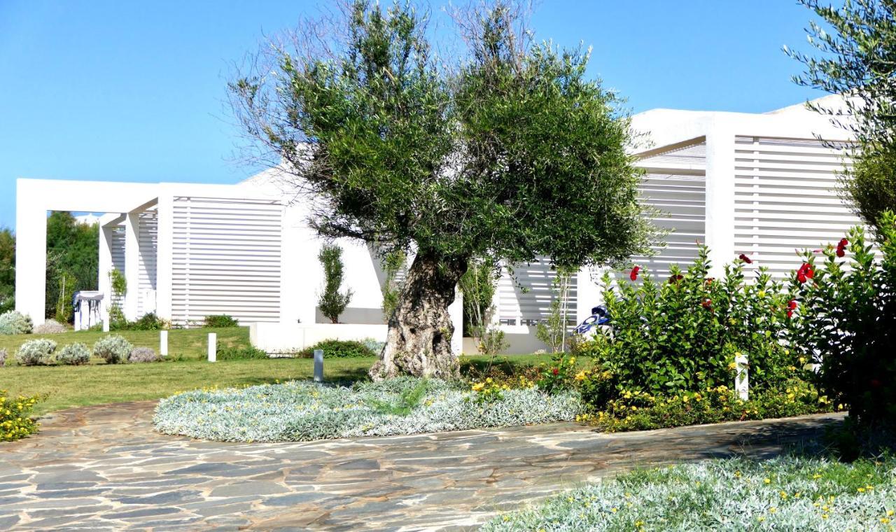 Con Piscina A 250 Mt Dalla La Pelosa Apartment Stintino