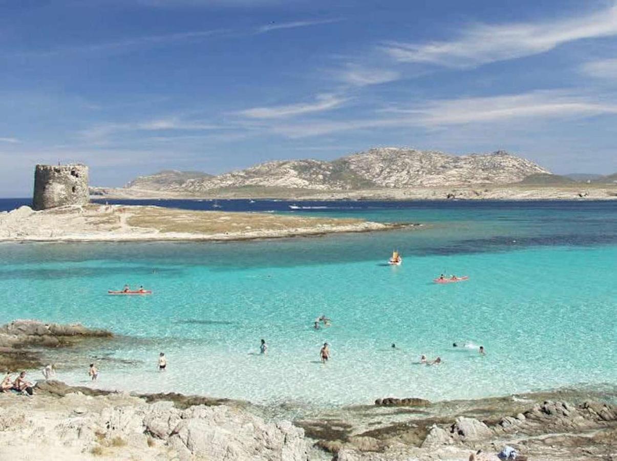 Con Piscina A 250 Mt Dalla La Pelosa * Stintino