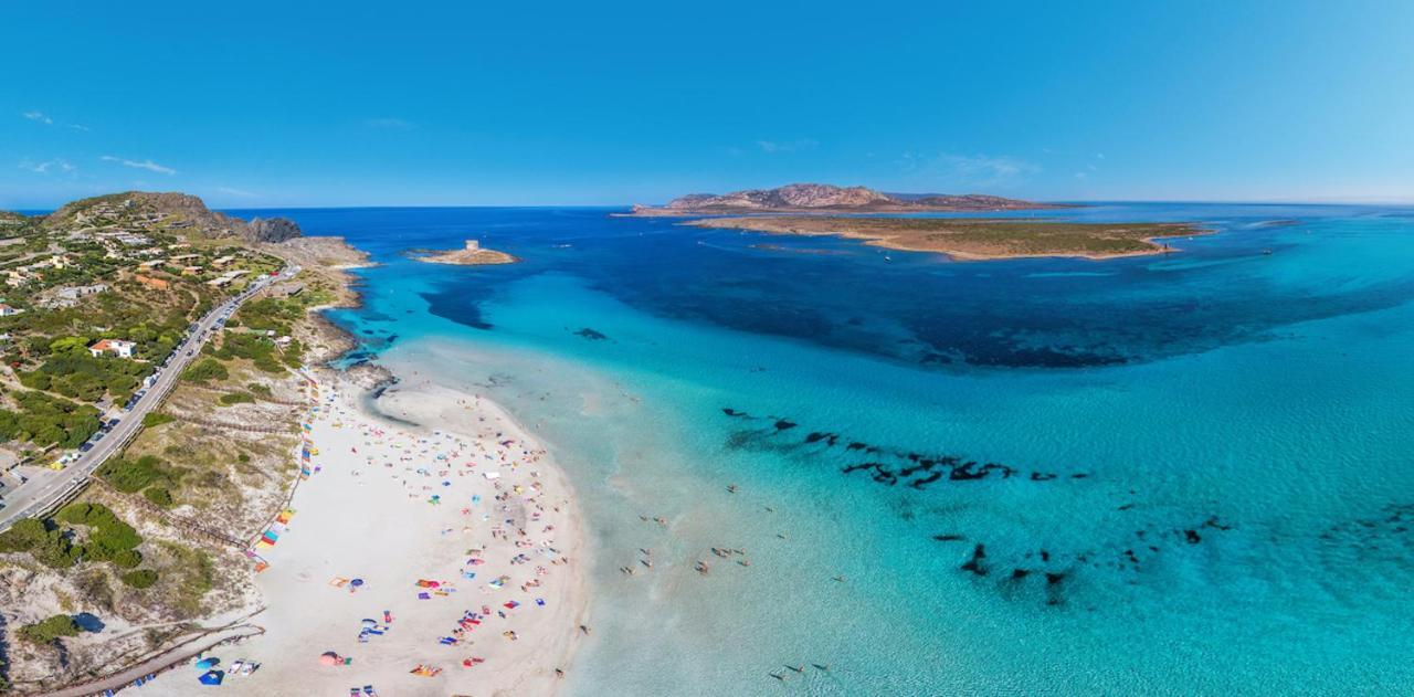 Con Piscina A 250 Mt Dalla La Pelosa Stintino